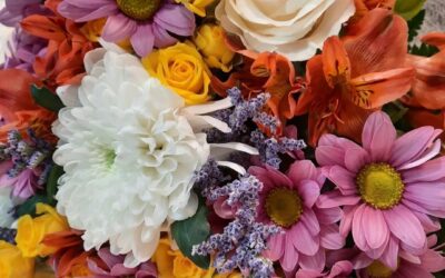 Cambiando las reglas de la Menopausia